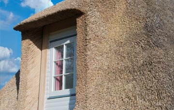 Storth thatch roof disadvantages